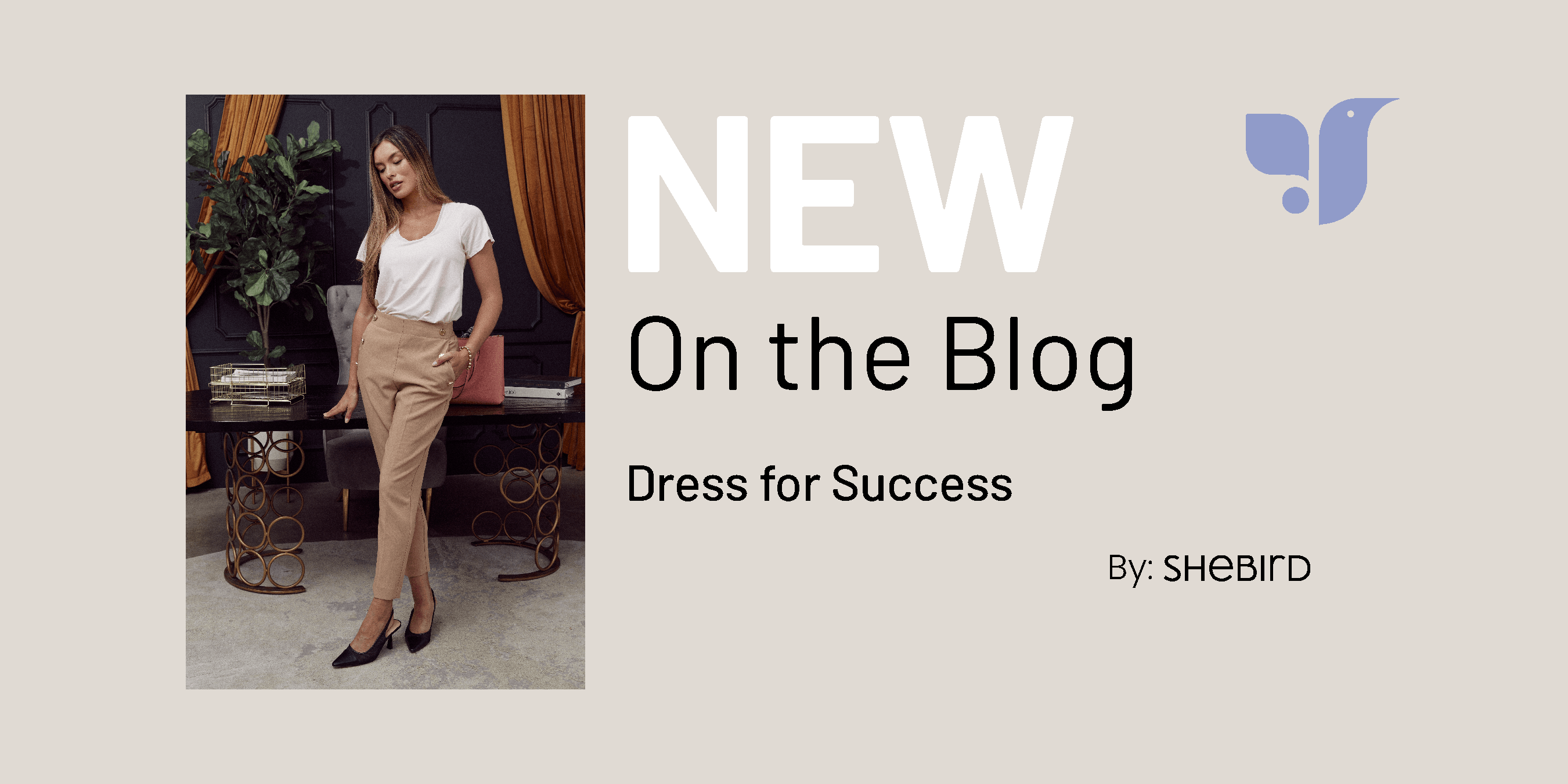 Dress for Success - SheBird 